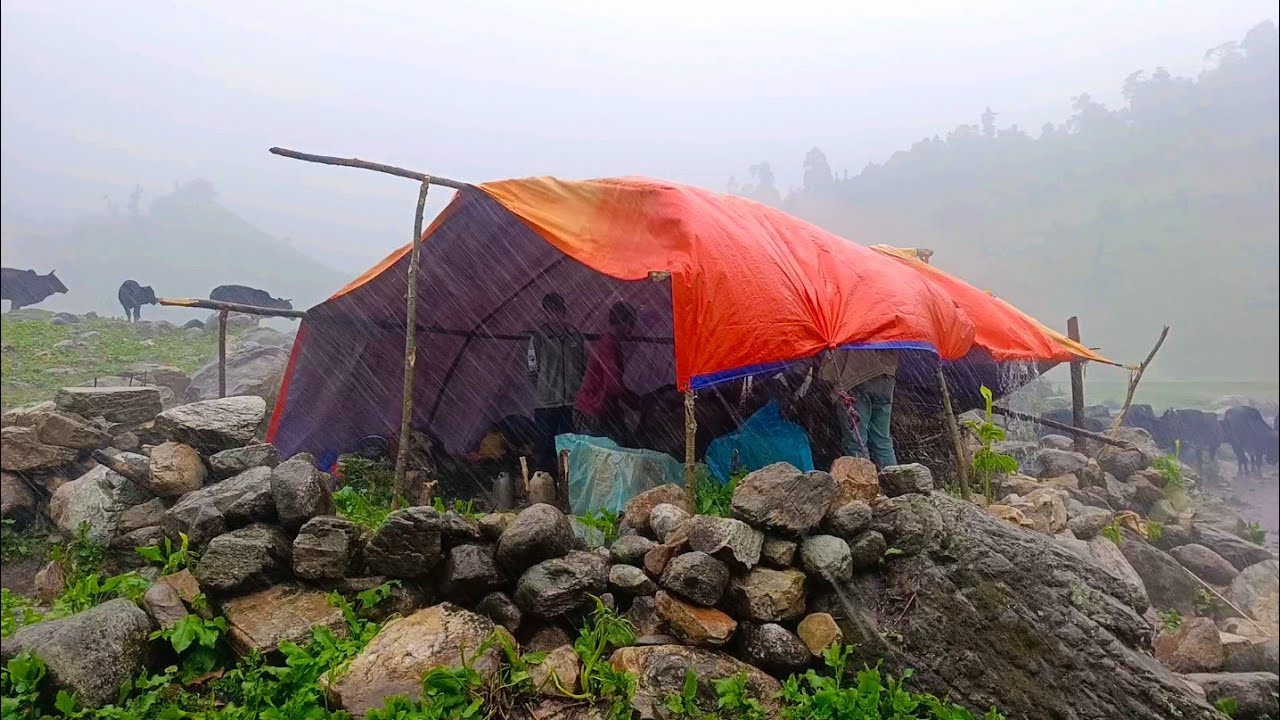 Very Relaxing Himalayan Village Life During Heavy Rainy Day | Surviving Life In A Mountain Village