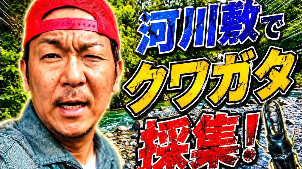 河川敷でクワガタ採集