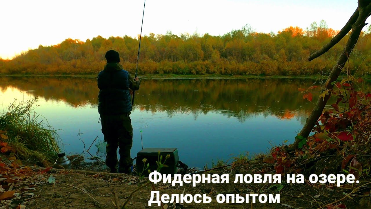 О ловле на фидер в илистых озёрах. Может кому пригодится информация