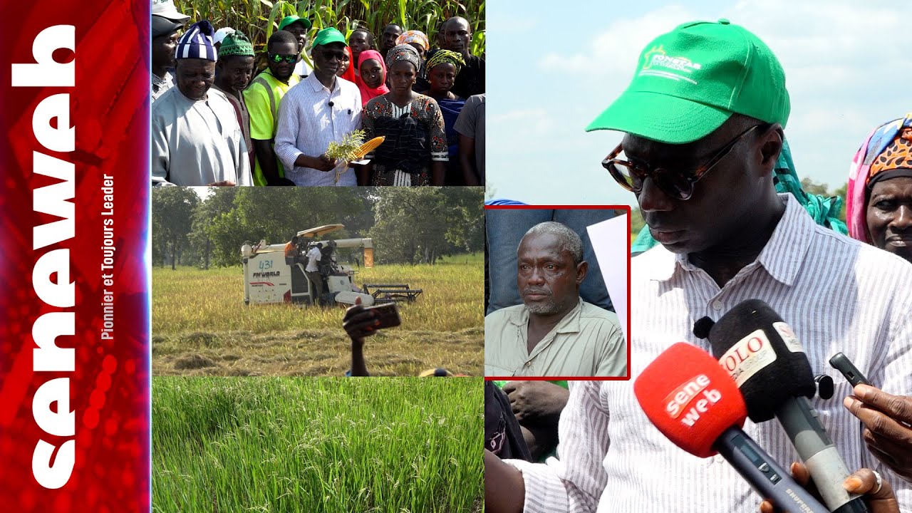 Campagne agricole 2025 à Kédougou : Mabouba Diagne veille au grain