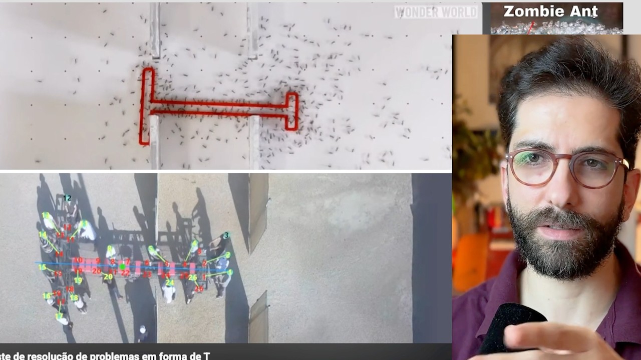 LIBERALISMO está ERRADO segundo a BIOLOGIA?