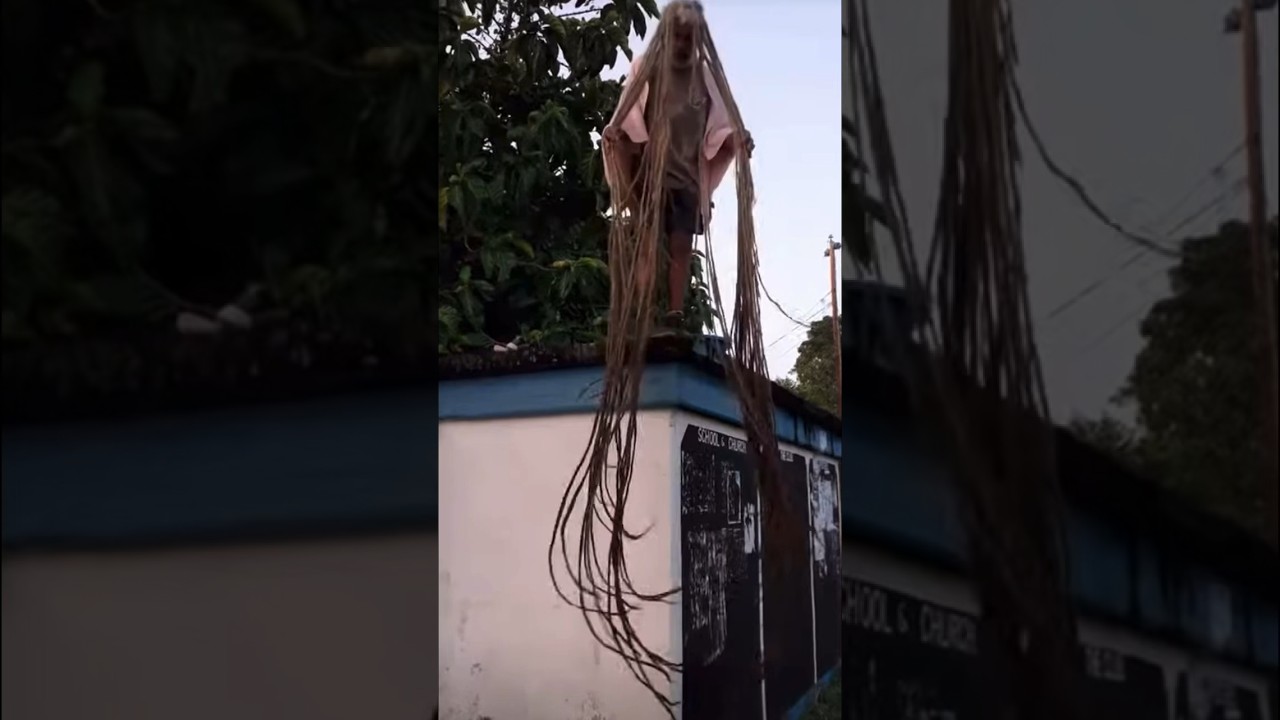 Real rasta shows his 40 year locs 😱 #locs #dreadlocks #dreads #hair #tiktok #ytshorts #rasta