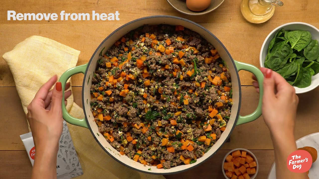 The Farmer&rsquo;s Dog DIY: Homemade Beef Dog Food Recipe