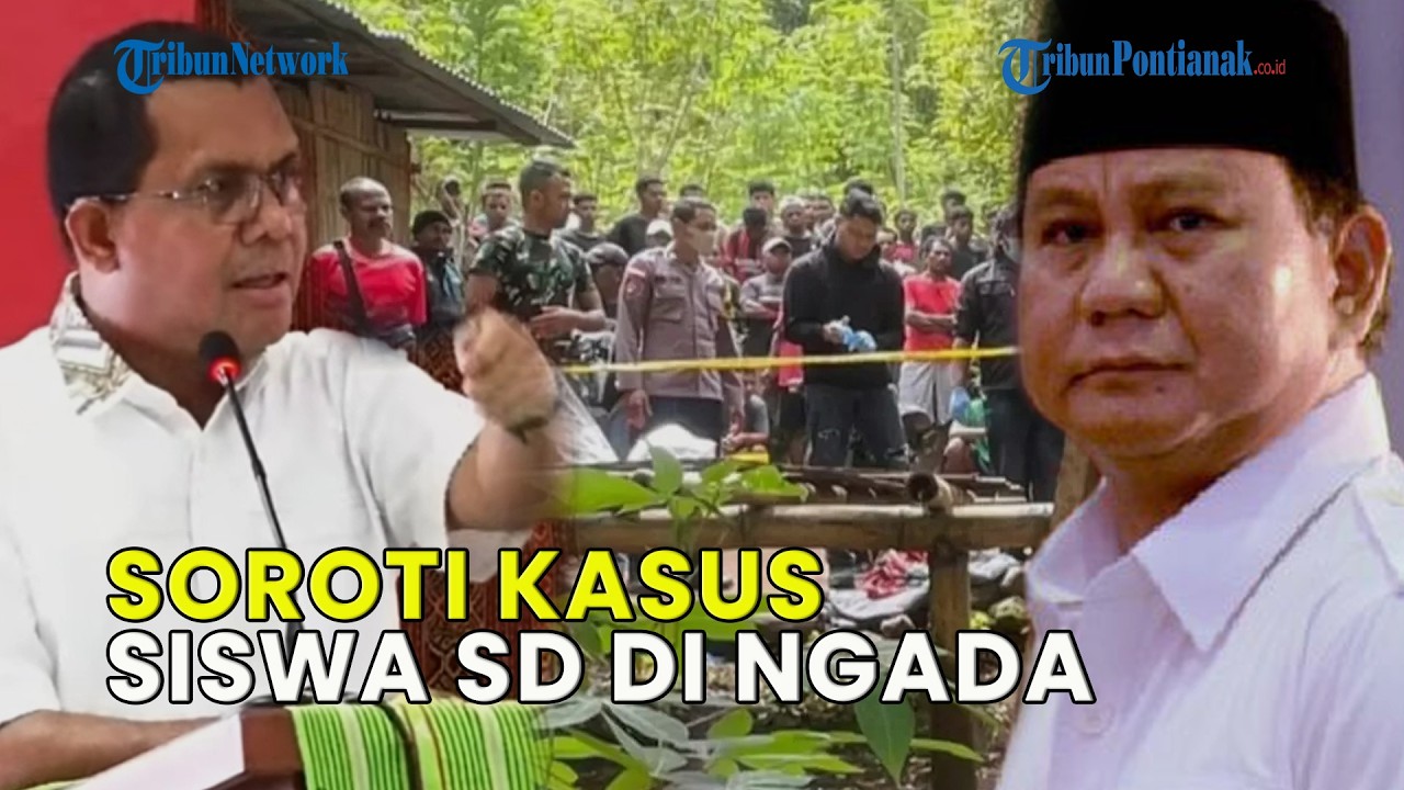 UPDATE❗ PRABOWO DAN GUBERNUR SOROTI KASUS SISWA SD DI NGADA, DORONG PERBAIKAN SISTEM PENDIDIKAN