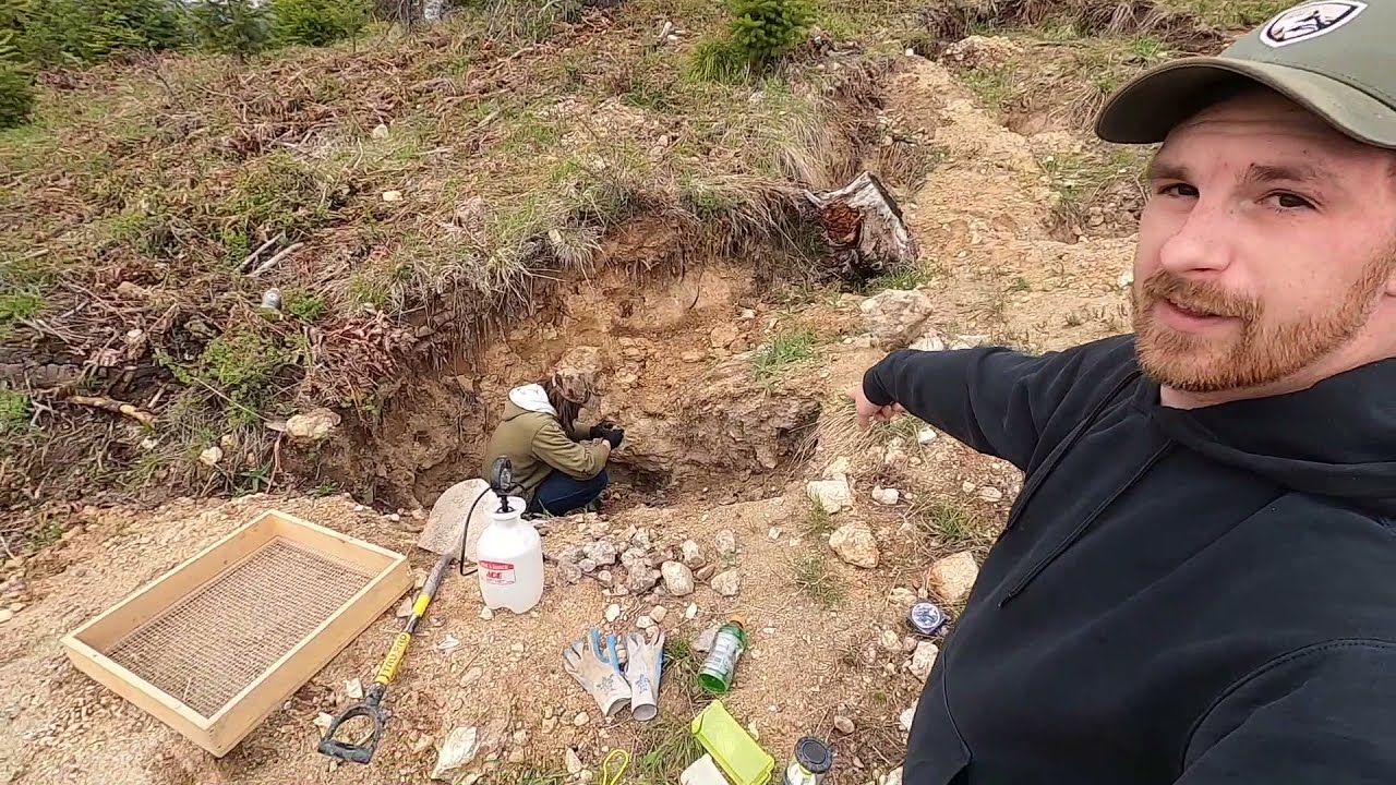 Rockhounding pegmatite for Black Tourmaline (schorl)