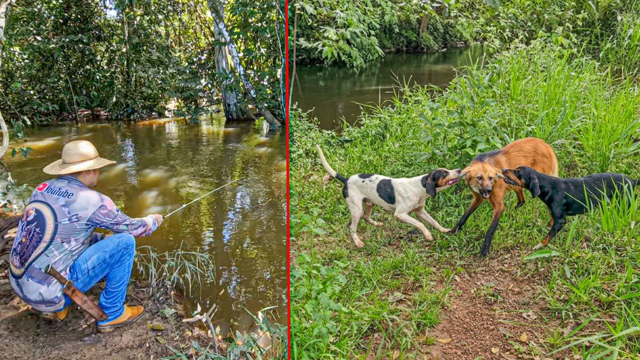ANIMAL SURGE NA PESCARIA, CACHORRO ATACA E TIVEMOS QUE SAIR DO LOCAL RAPIDAMENTE 