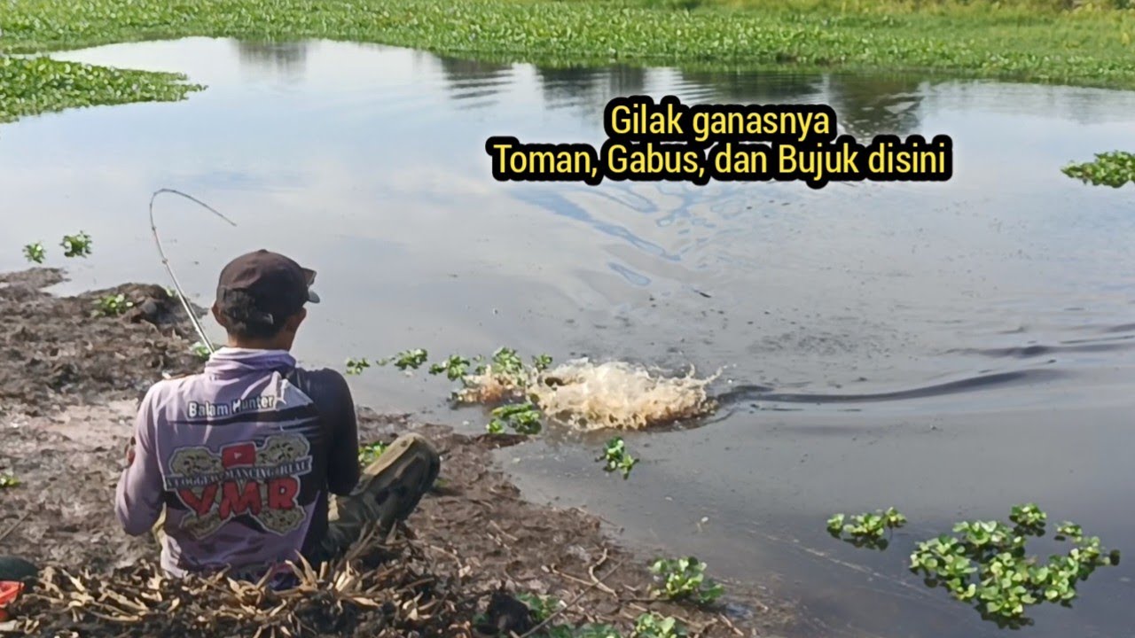 GAK NYANGKA 3 JENIS CANA SEKALIGUS