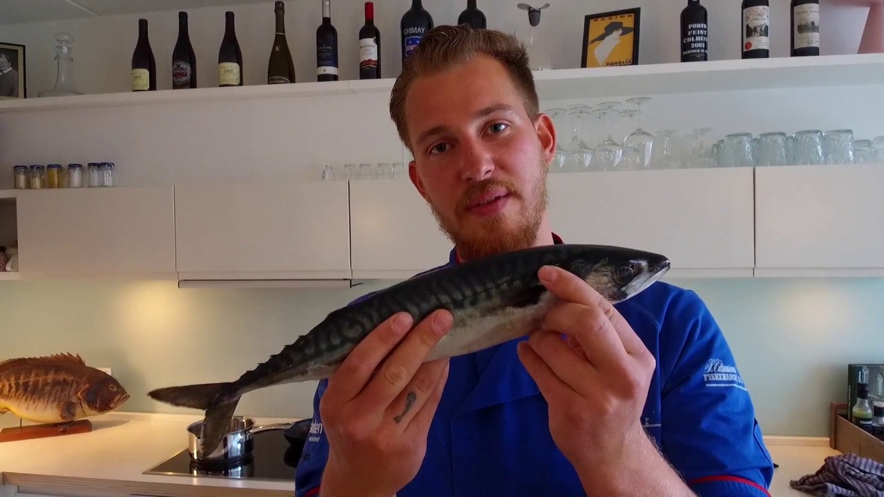 Kend din Fisk nr. 10 