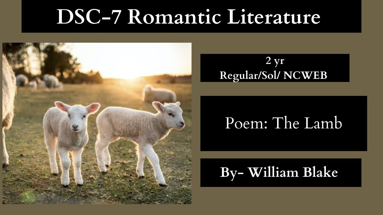 The Lamb by William Blake line by line explained|| DSC 7 Romantic Literature|| DU Regular/Sol/NCWEB