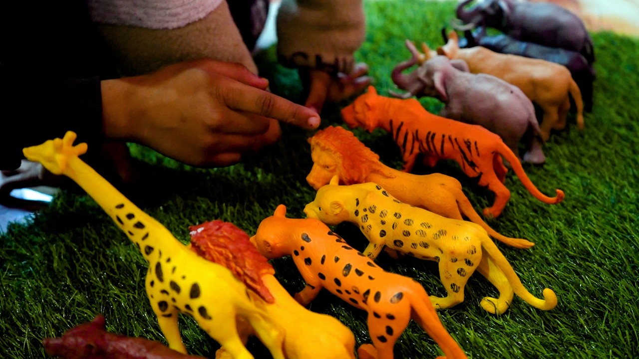 Primery education wild animals for kids toys, बच्चों के लिए जंगली जानवर की खिलौने,