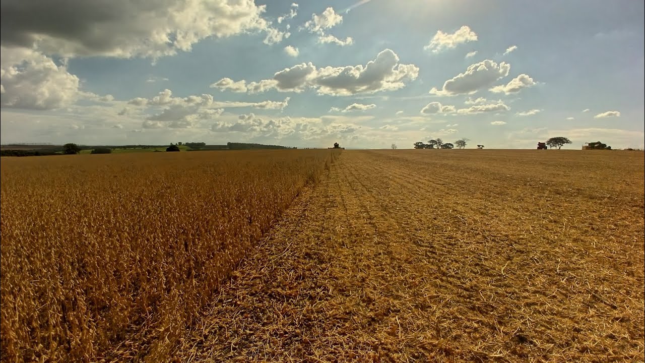 Colheita de soja em Minas Gerais, John Deere S790