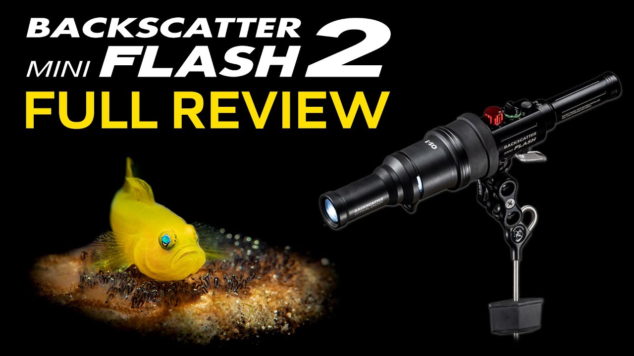 Mini Flash 2: The Best Underwater Macro Strobe | Full Review