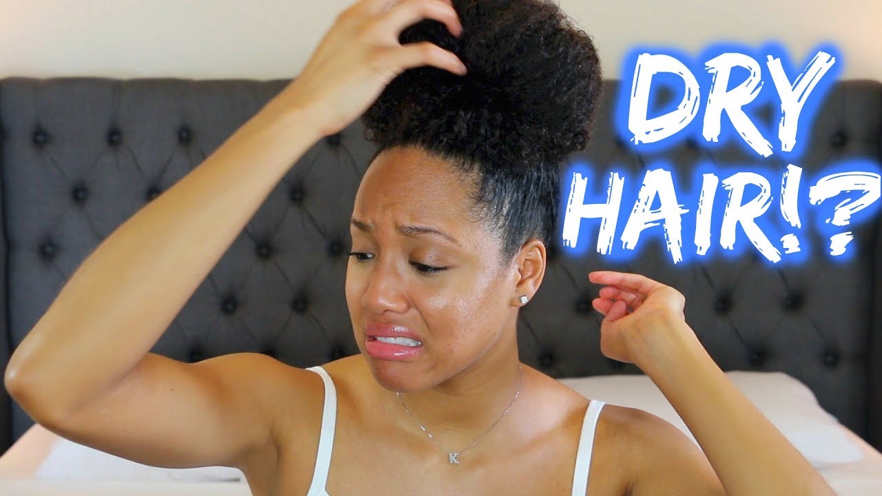 5 REASONS YOUR HAIR IS DRY & How to FIX IT!