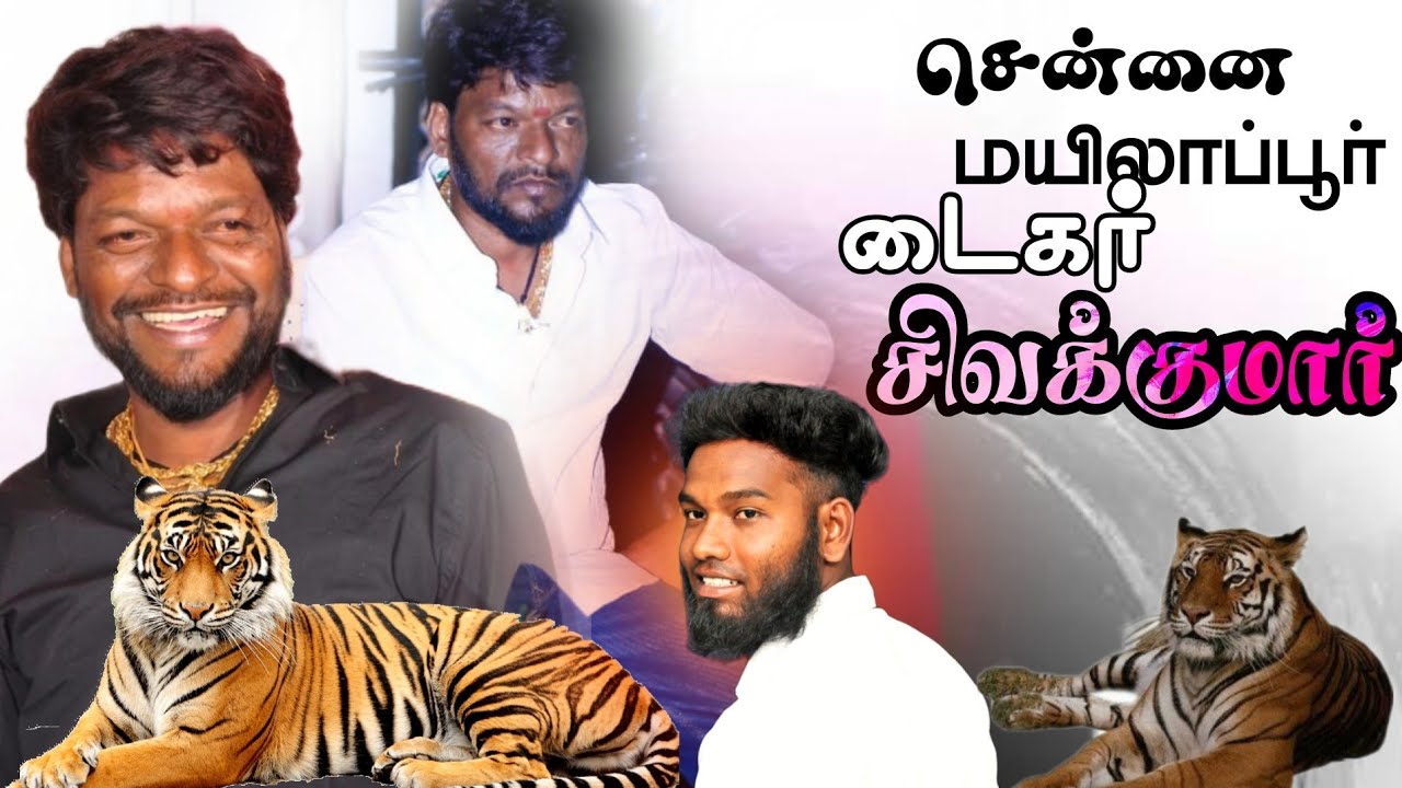 Chennai💪 King👑 Mylapore💣 Don 💥A+Top 🔥Tiger🐯 Sivakumar🙏 Dance Video 🐅