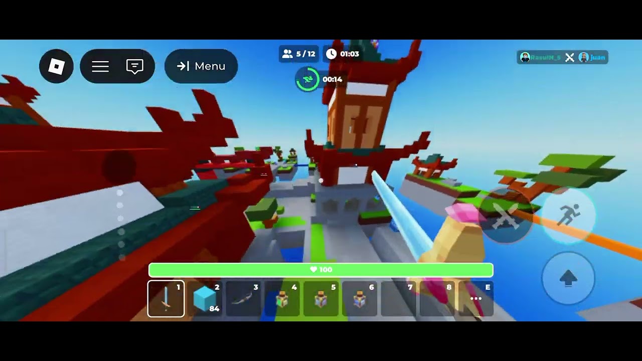 Victory in Sky Wars