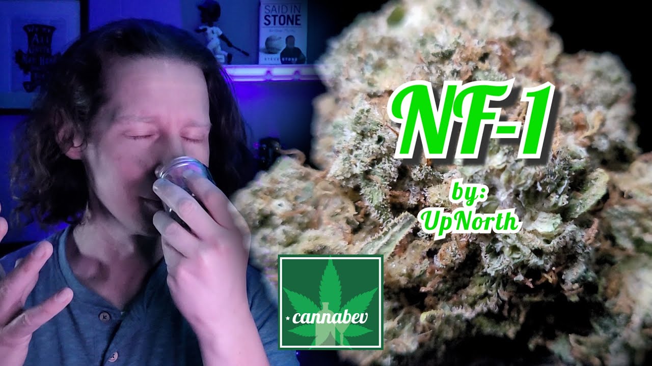 UpNorth NF-1 - Illinois Cannabis Review