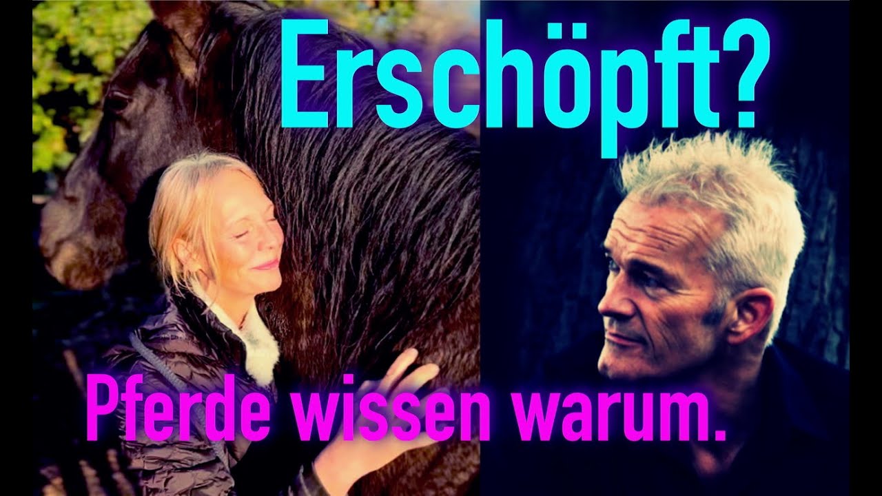 Pferde als Spiegel f&uuml;r innere Entwicklung | Kathrin Stahl im Gespr&auml;ch mit Jan von Wille