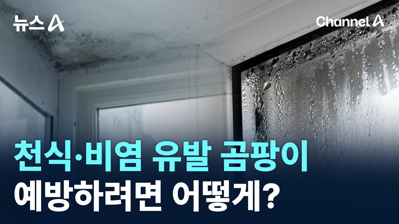천식&middot;비염 유발 곰팡이&hellip;예방하려면 어떻게? / 채널A / 뉴스A