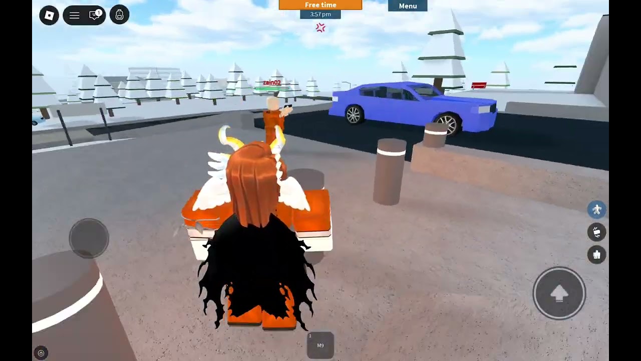 Playing prison life