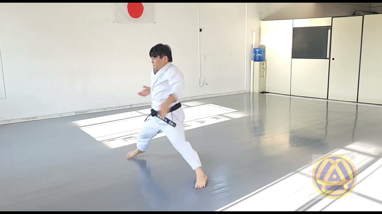 Meikyo Nidan