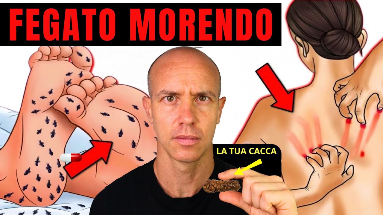 10 segni PRECOCI di danno EPATICO