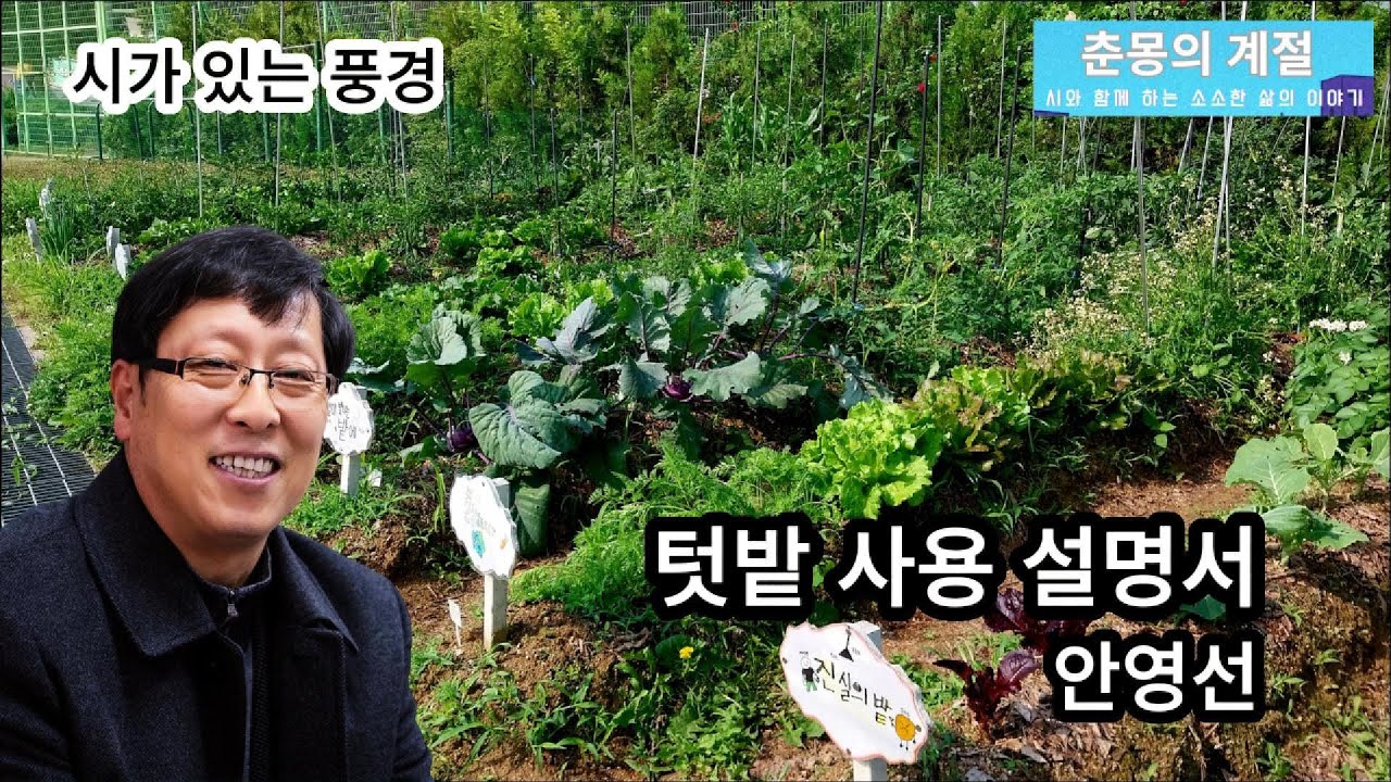 시가 있는 풍경11-텃밭 사용 설명서(안영선)  #좋은시 #문학 #국어문학 #안영선 #시작 #굼벵이_두더지_지렁이