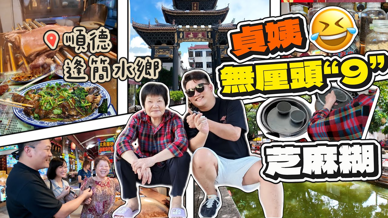 閃現順德逢簡水鄉，探訪網紅貞姨“無厘頭鳩”芝麻糊嚟頭🤣全程搞笑不停丨體驗當地水鄉風情，仲有超多特色美食，均安蒸豬，釀鯪魚等你嚟歎