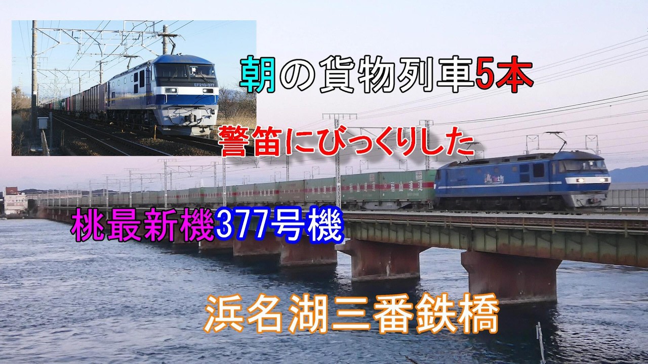 朝の浜名湖三番鉄橋 桃最新機377号機 今回警笛にびっくりした 2026/03/10