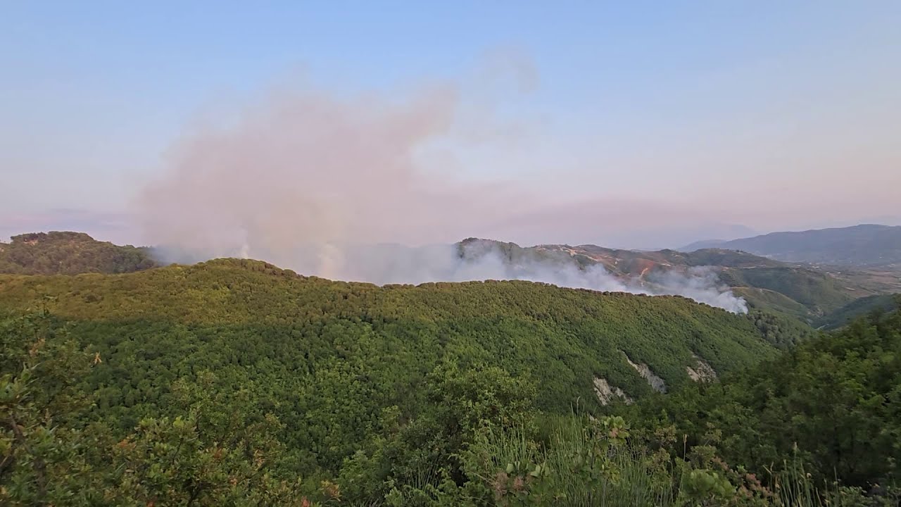 Top News- 35 ha pyje në flakë në Mallakastër/ Dyshohet për zjarrvënie të qëllimshme