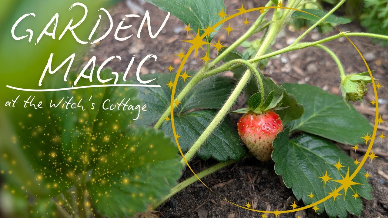 Garden Magic at the Witch's Cottage