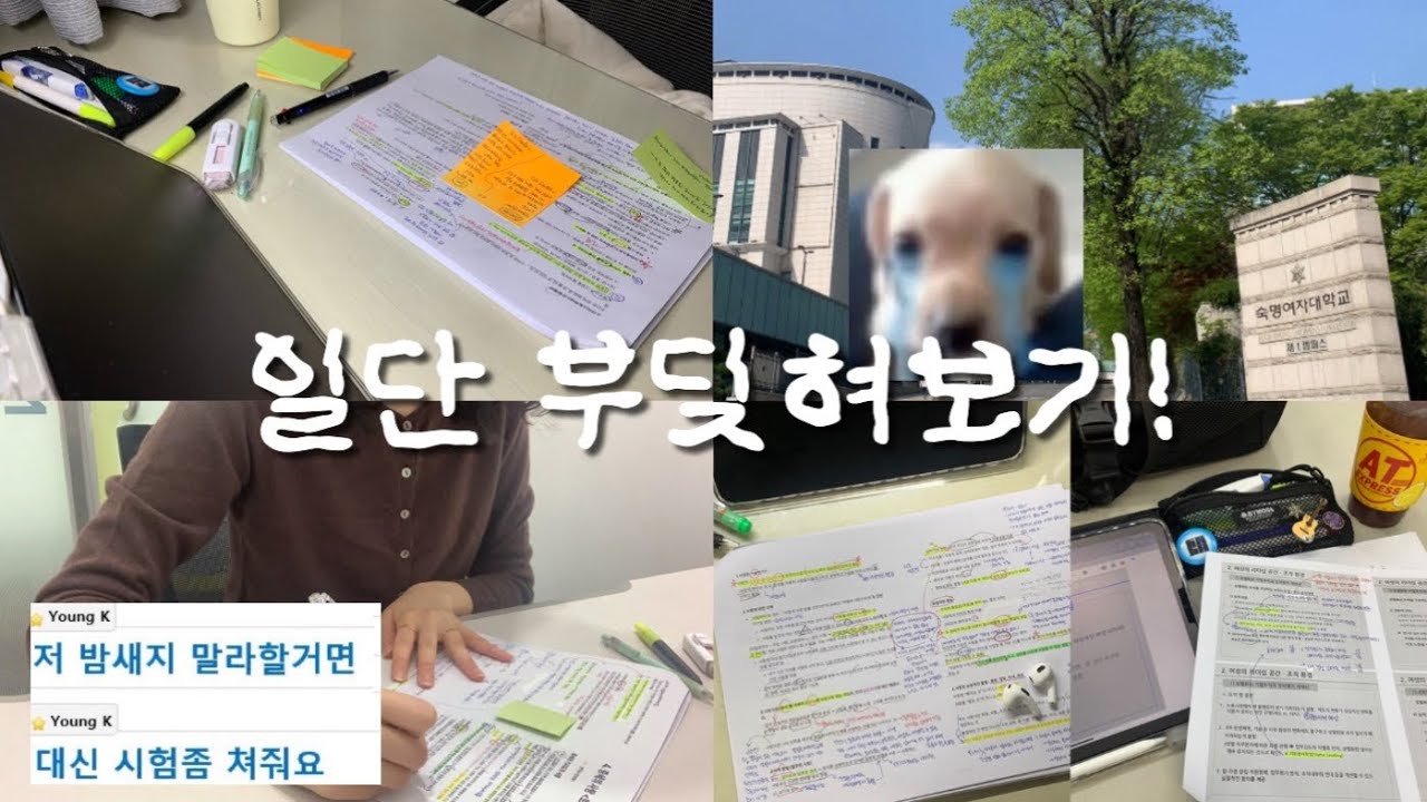이틀 동안 시험 5개 치는 새내기...🫠🔥 대학생 시험기간 브이로그 | 공부 브이로그 | study vlog