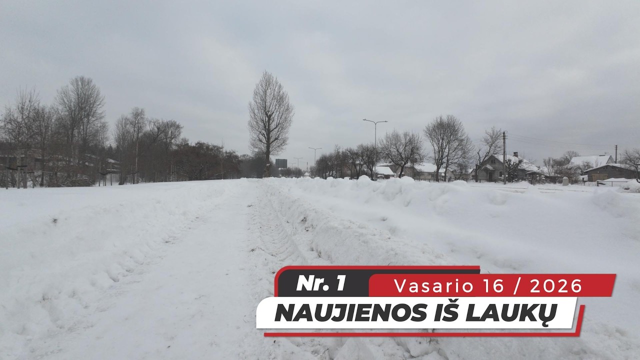 Naujienos iš Laukų Nr.1 / Parkas