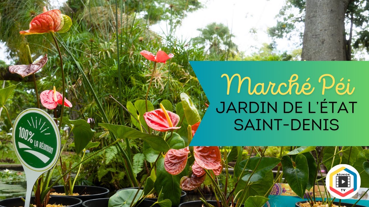 Marché péi - Jardin de l'État - Saint Denis