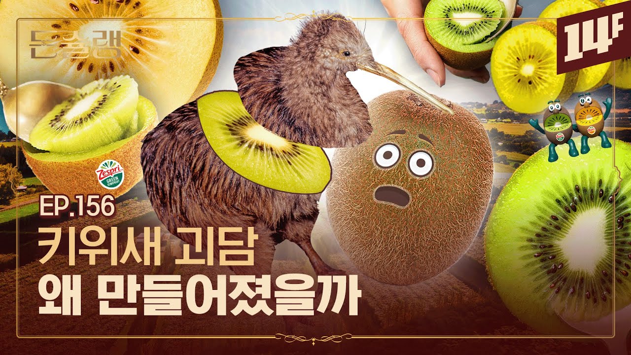 미국인들은 왜 뉴질랜드 키위에 반했을까🥄ㅣ돈슐랭 / 14F