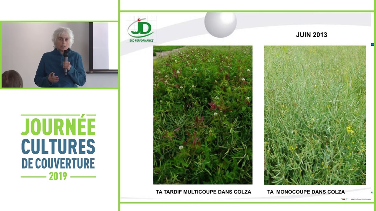 Importance de connaître les caractéristiques des variétés d’engrais verts