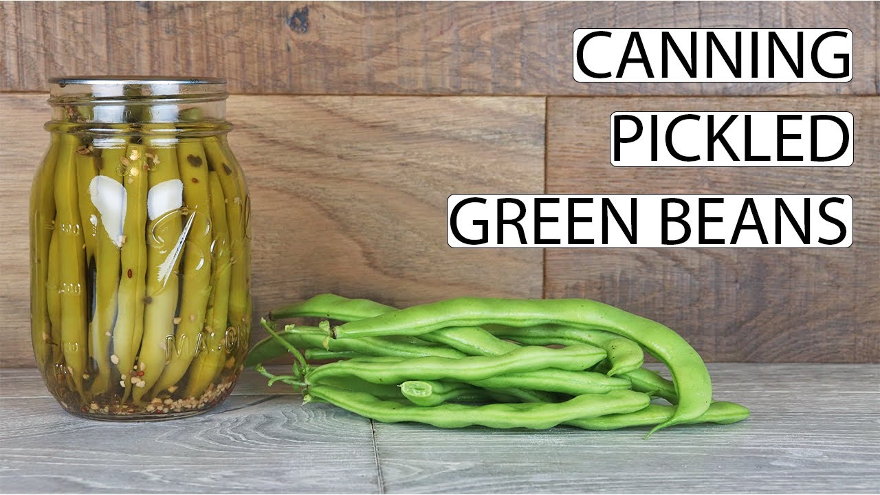 Canning Pickled Green Beans With Taste Test! Fermented Homestead