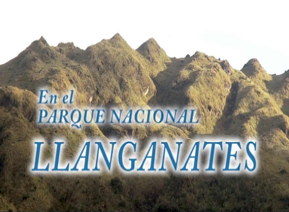 Parque Nacional Llanganates - El Valle de los Frailejones