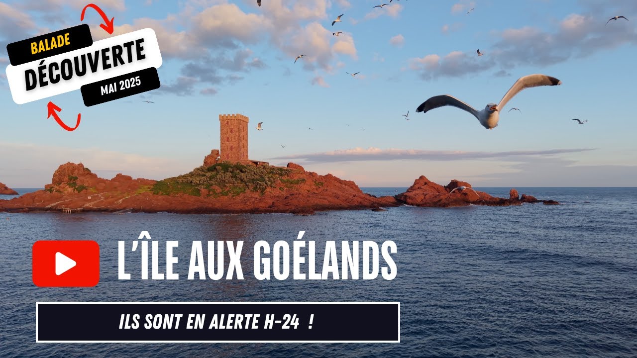 AGAY - CAP DRAMONT - ILE D'OR - VAR - FRANCE #cotedazur
