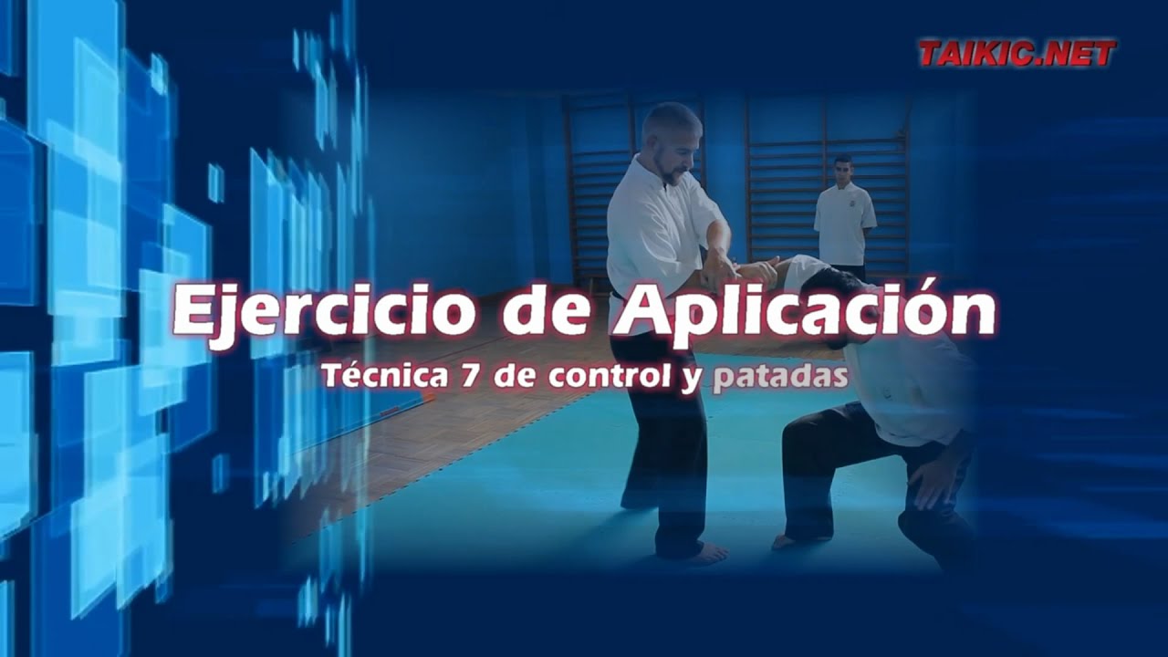 TUTORIAL TAIKIC System - Ejercicio de Aplicación y técnica 7 de Control
