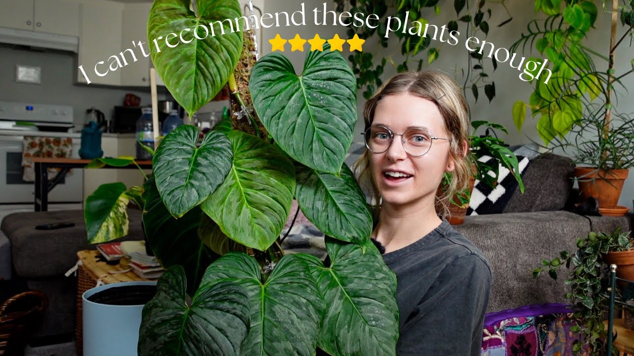7 plants that are bringing me so much joy! April 2023 favourites 🥰