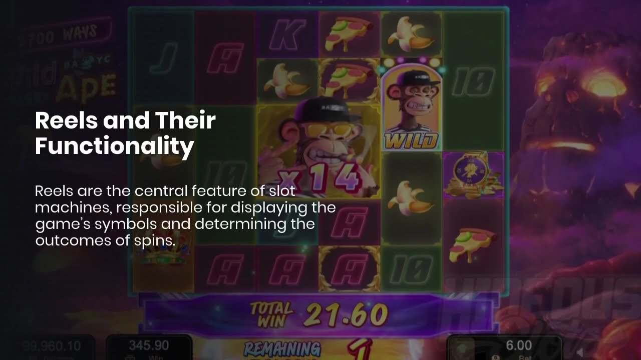 Advanced Wild Ape Slot Strategies for Maximum Rewards
