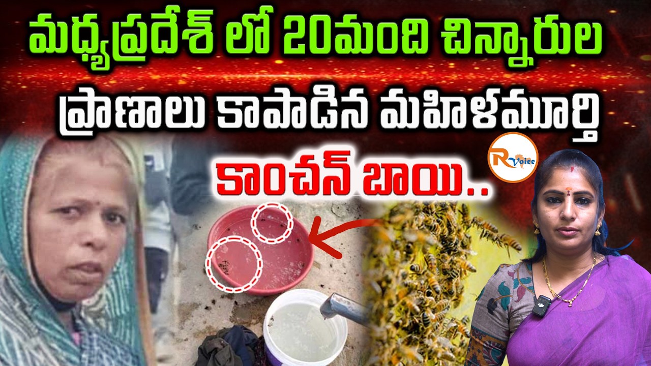మధ్యప్రదేశ్ లో 20మంది చిన్నారుల ప్రాణాలు కాపాడిన...మహిళమూర్తి కాంచన్ బాయి..| Woman Saves 20 Children