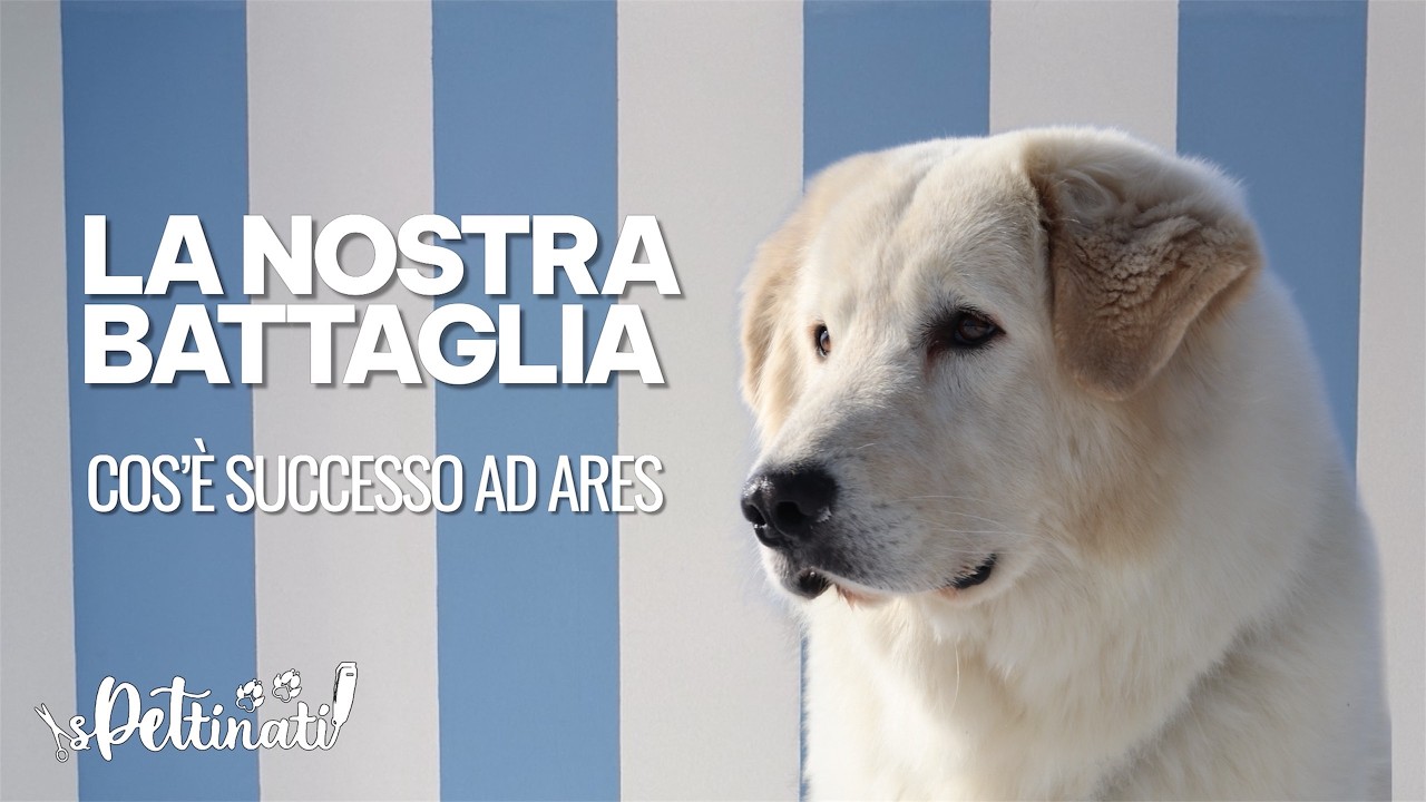 LA NOSTRA BATTAGLIA: Cosa sta succedendo ad Ares