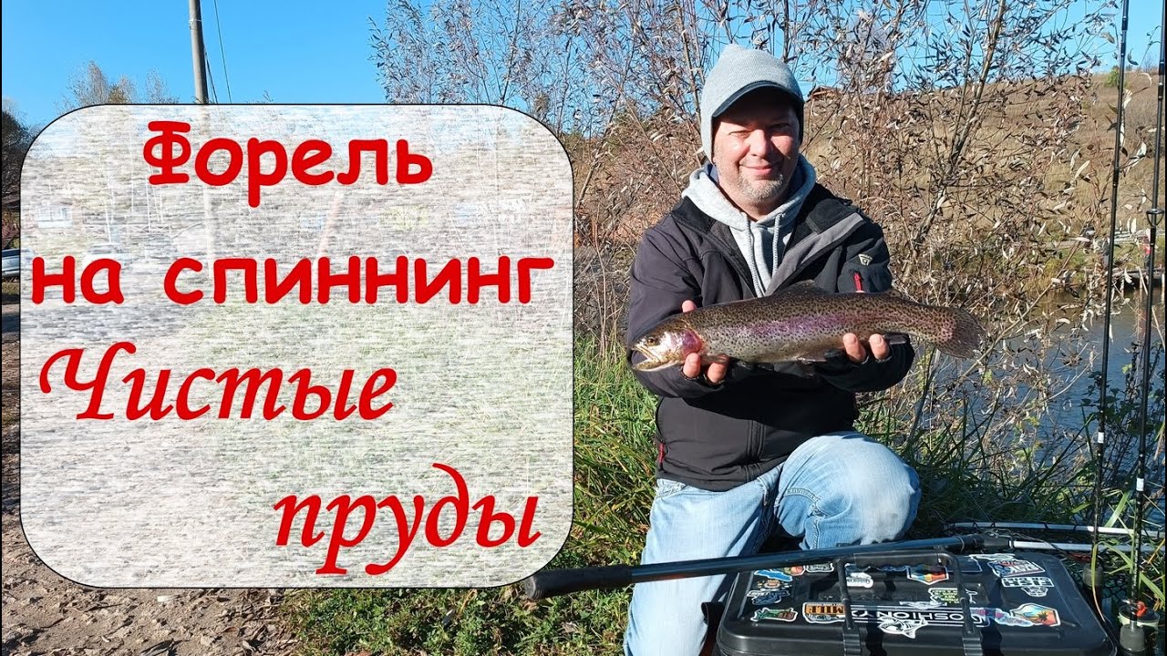 Форель на спиннинг.  Чистые пруды