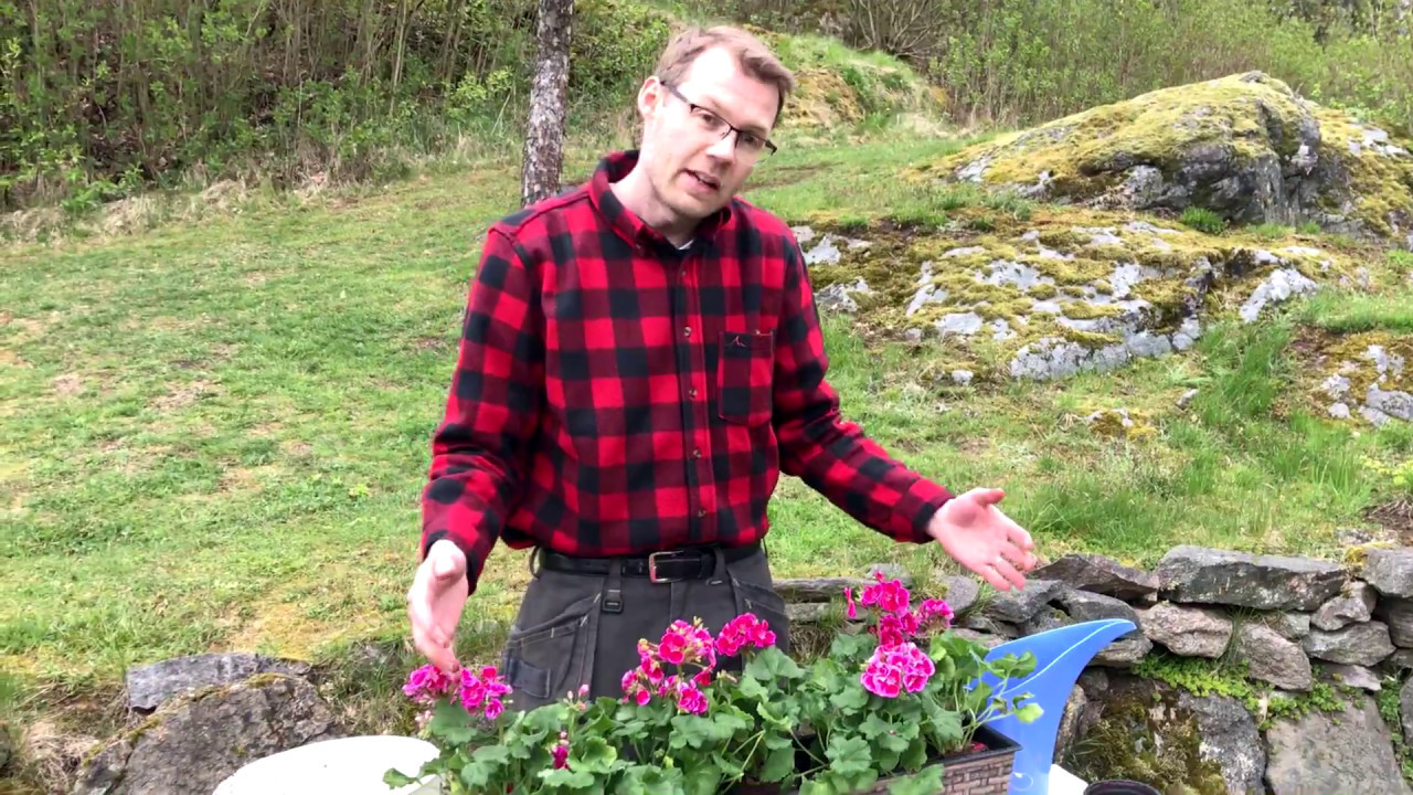 Självvattnande blomlåda Bella i rotting | StayHome.se
