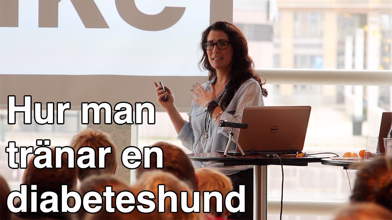 Föredrag om att träna en diabeteshund