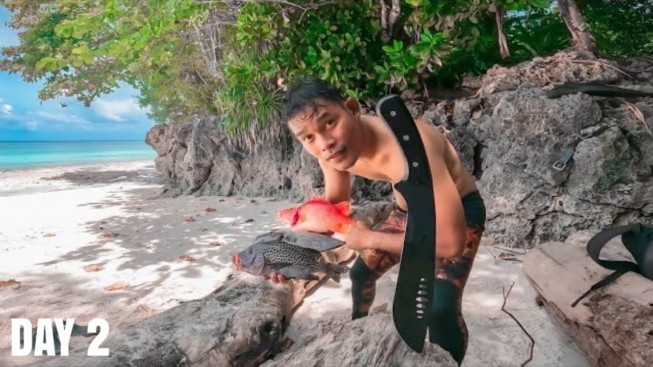 Catch and Cook Fish in Remote Island | Spearfishing Indonesia