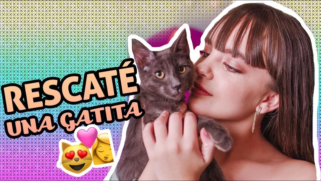 Rescat&eacute; a mi nueva mascota, adopt&eacute; a Kiara - Ivanna P&eacute;rez