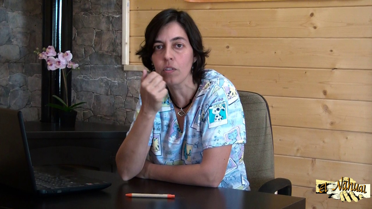 Remedios naturales contra EL VENENO DE LA PROCESIONARIA en nuestros animales de compañía.