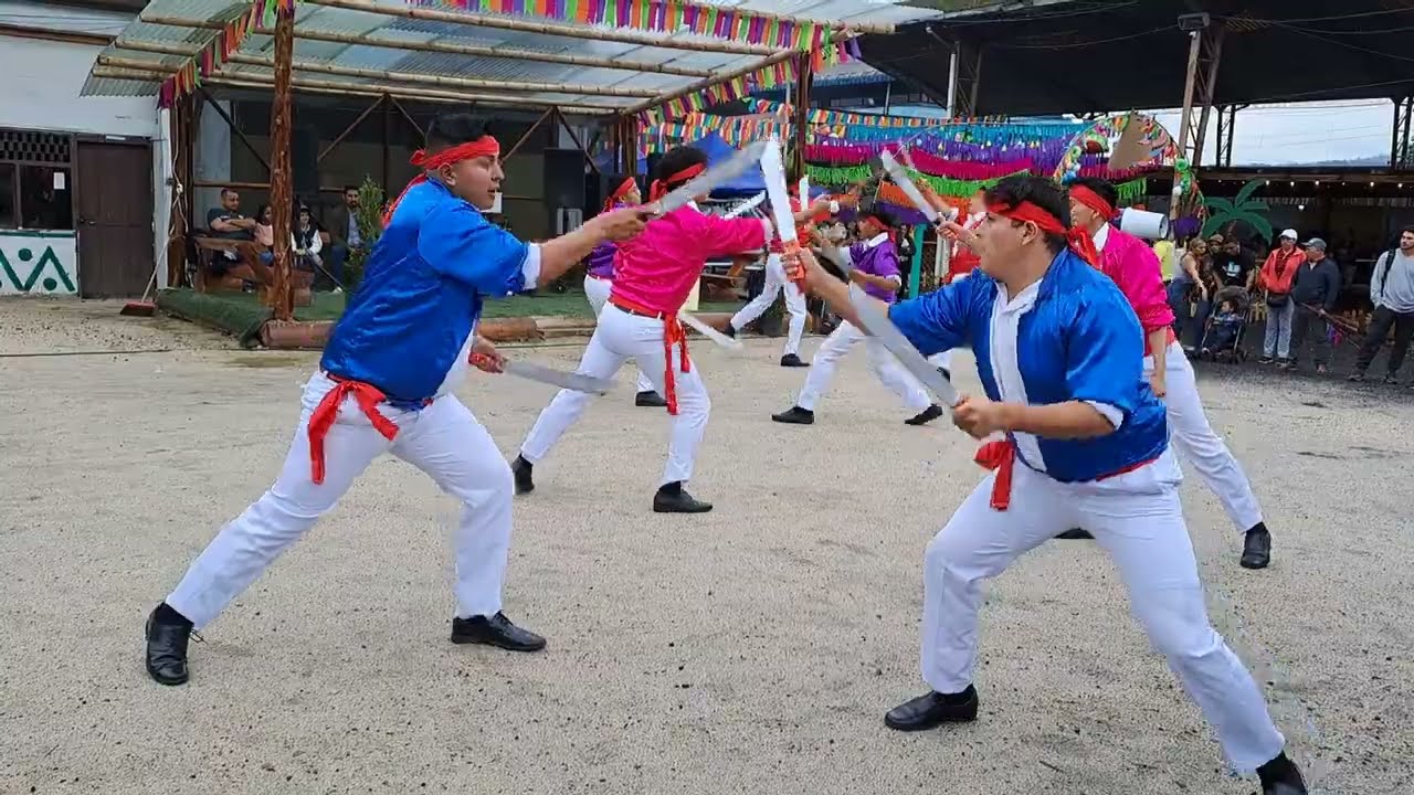Corporación Cultural Puyo Arte | Carnaval Puyo 2024